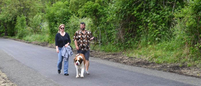 Man and woman walk their dog on a pathway