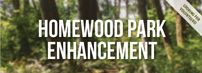 Homewood Park Enhancement