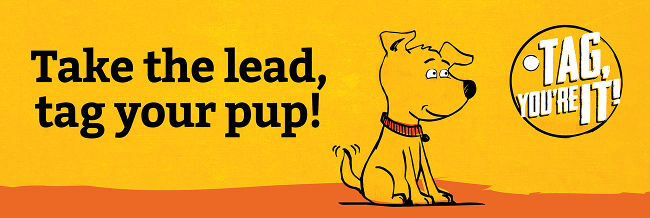 yellow banner with cartoon dog that says "take the lead, tag your pup!"
