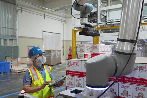 employee in safety vest and helmet working in warehouse