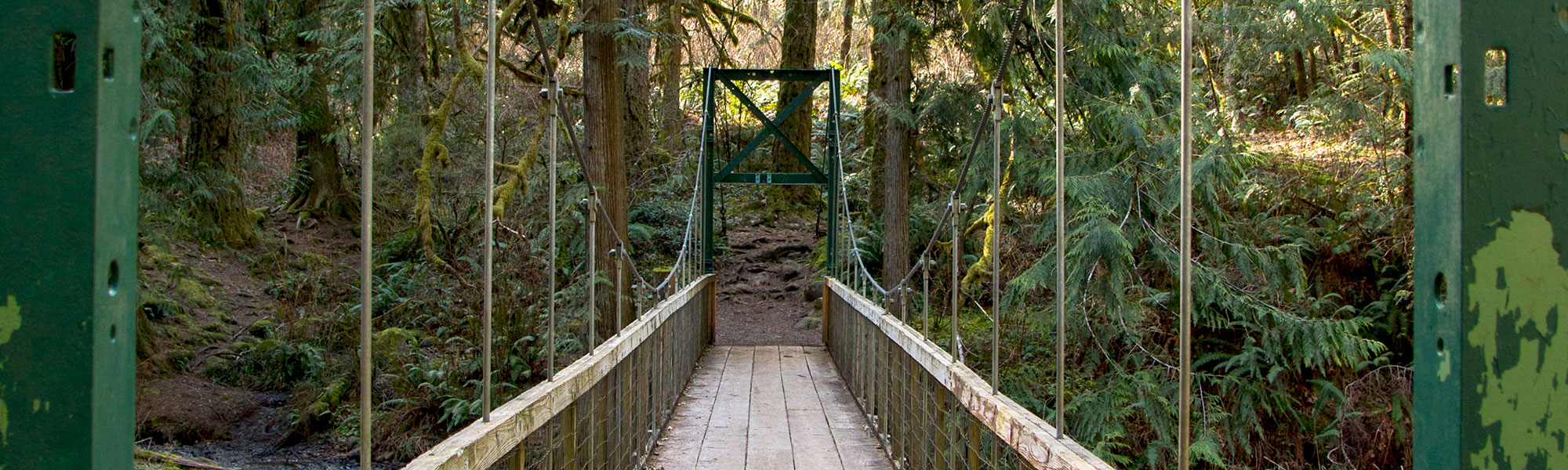 Metzler Park bridge