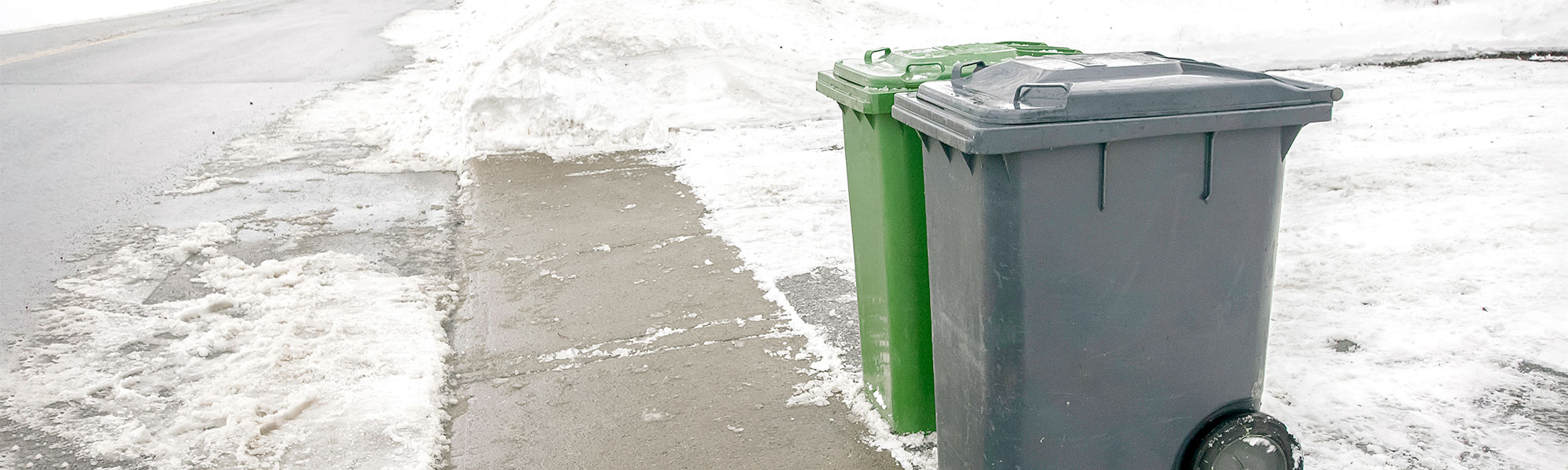 Garbage bins at the curb in the snow