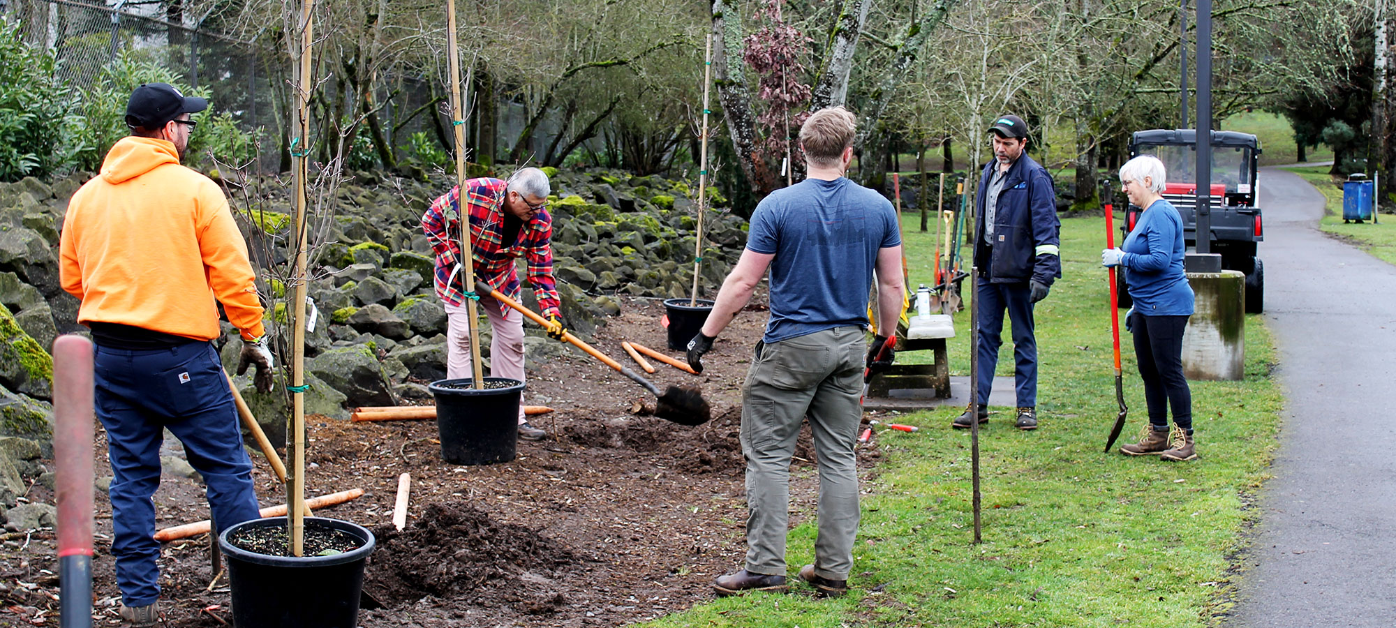 People planting trees