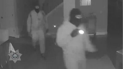 Burglary Suspects in Rivergrove