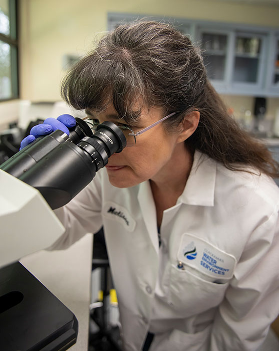 Testing your water in the WES lab.