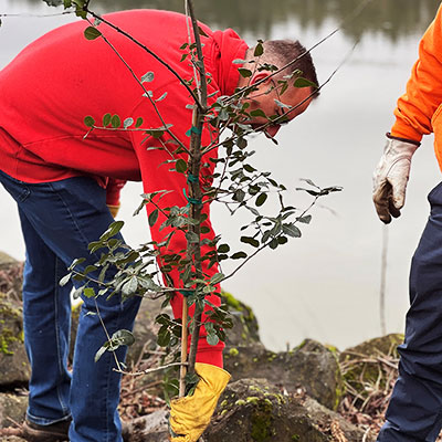 People planting trees