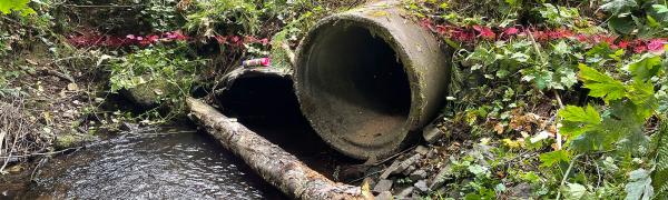 Damaged culverts