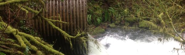 Photo of current Henry Creek (Arlie Mitchell Road) Culvert