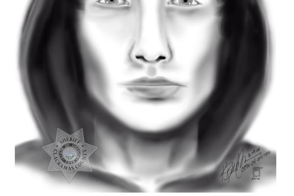 CCSO Case # 24-015726 (suspect sketch and suspect vehicle)