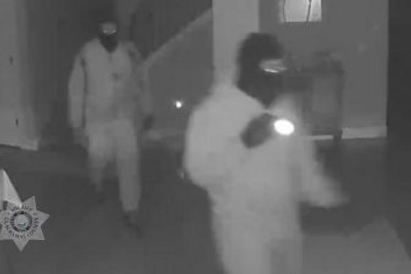 Burglary Suspects in Rivergrove