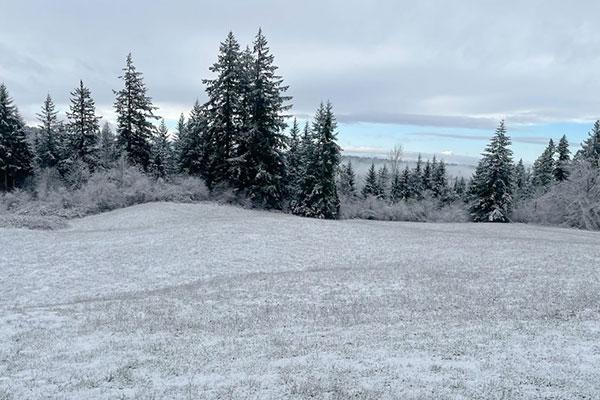 field with snow