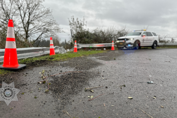 Deputies investigate high-speed fatal crash on SE 72nd Avenue